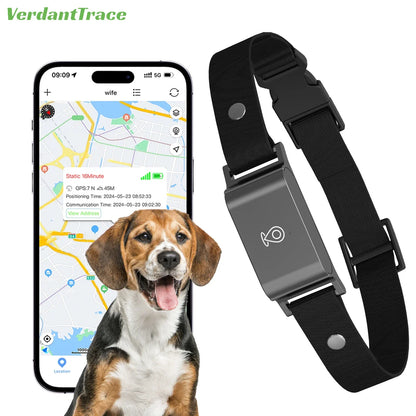 GPS Tracker für Hunde & Katzen - Sicherheit & Ortung in Echtzeit