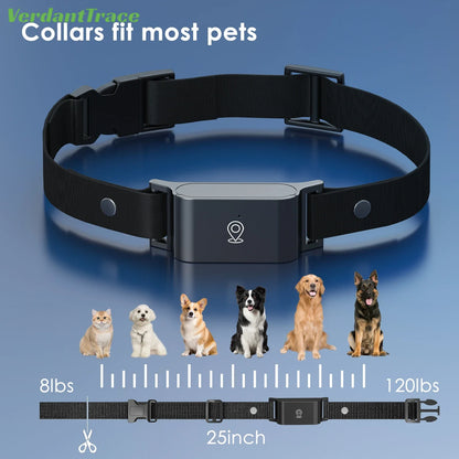 GPS Tracker für Hunde & Katzen - Sicherheit & Ortung in Echtzeit