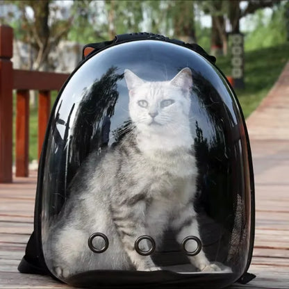 PetBubble™- Für tierische Abenteuer mit Aussicht